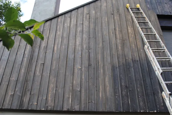 Bardage devenu gris, une échelle posée contre le mur
